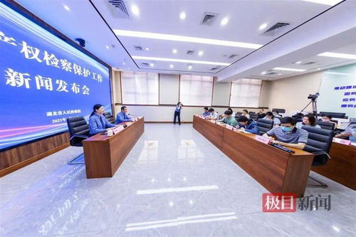 湖北通報知識產權檢察保護典型案例 侵權影片2200余部，8人因從事廣告業務獲刑
